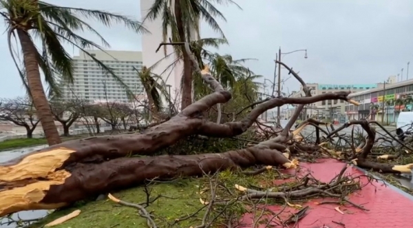 ▲4등급 '슈퍼 태풍' 마와르가 태평양의 미국령 괌을 강타한 지난달 25일(현지시간) 나무들이 강풍에 꺾여 거리에 쓰러져 있다. AFP 연합뉴스