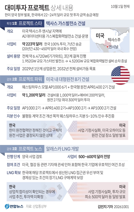 ▲대미투자 프로젝트 상세 내용